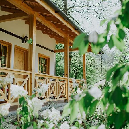 Cosama Village Sighişoara Exteriör bild