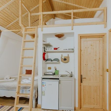 Cosama Village Sighişoara Exteriör bild