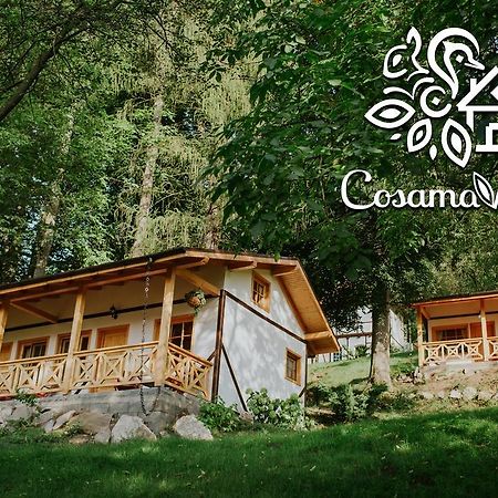Cosama Village Sighişoara Exteriör bild