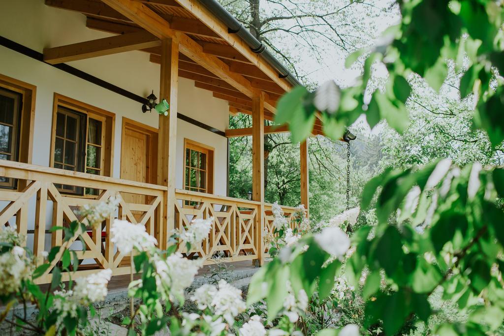 Cosama Village Sighişoara Exteriör bild