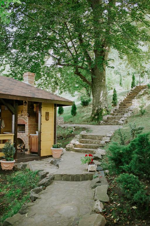 Cosama Village Sighişoara Exteriör bild