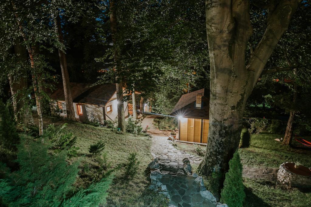 Cosama Village Sighişoara Exteriör bild