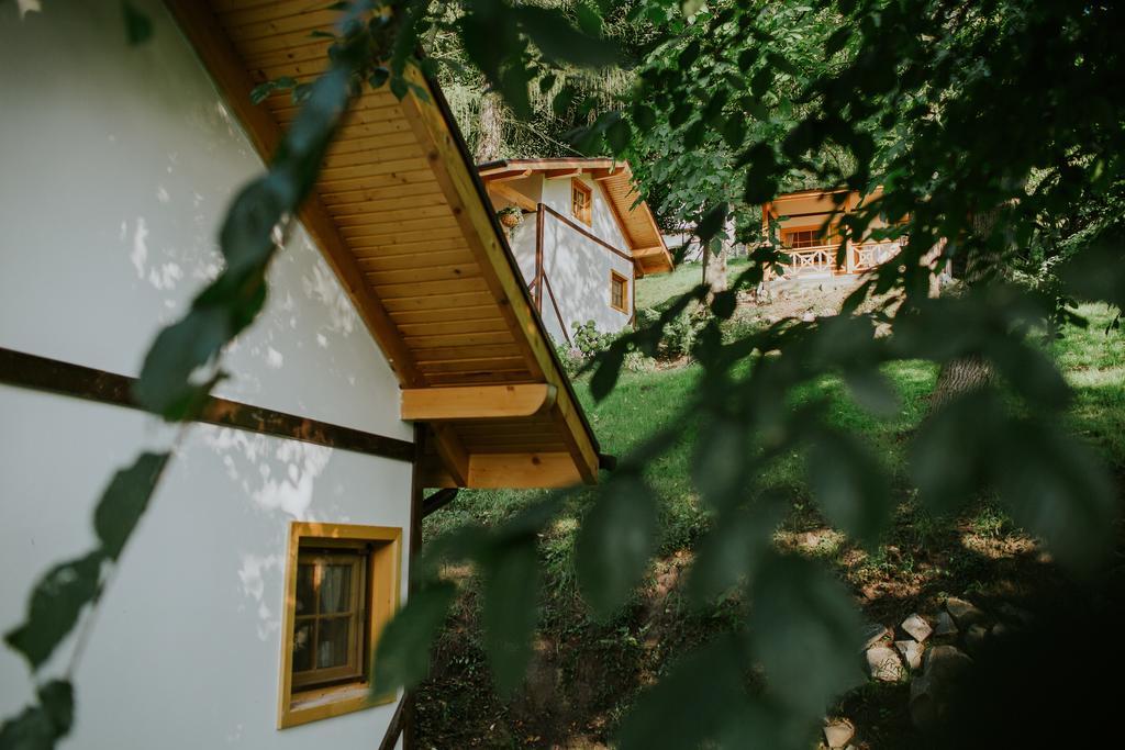 Cosama Village Sighişoara Exteriör bild
