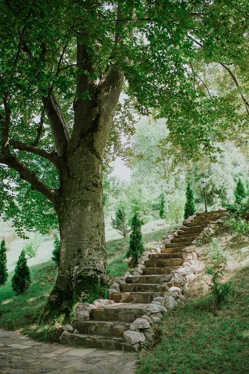 Cosama Village Sighişoara Exteriör bild